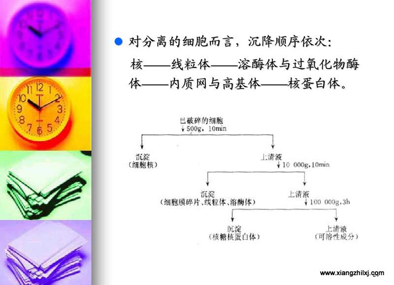 離心機知識圖解大全