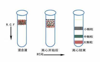 醫(yī)用離心機(jī)常用的離心方法