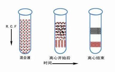 醫(yī)用離心機全知道